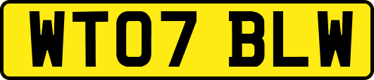 WT07BLW