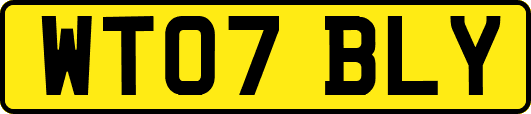 WT07BLY