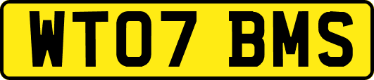 WT07BMS