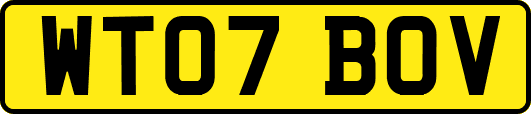 WT07BOV