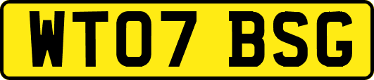 WT07BSG