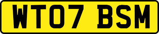 WT07BSM