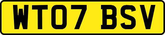WT07BSV
