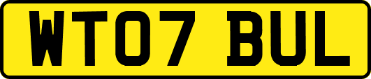 WT07BUL