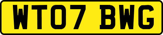 WT07BWG