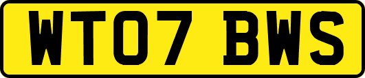 WT07BWS