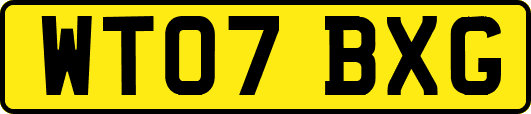 WT07BXG