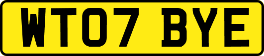 WT07BYE