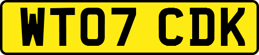 WT07CDK