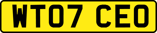 WT07CEO