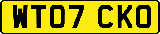 WT07CKO