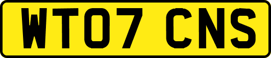 WT07CNS