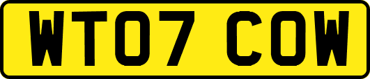 WT07COW