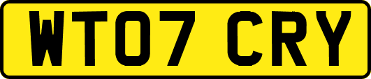 WT07CRY