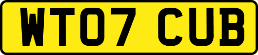 WT07CUB