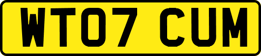 WT07CUM