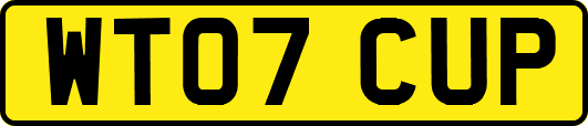 WT07CUP