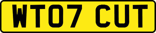 WT07CUT