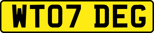 WT07DEG