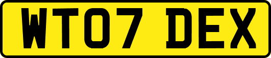 WT07DEX