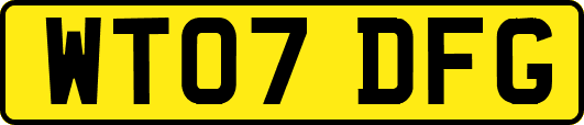 WT07DFG