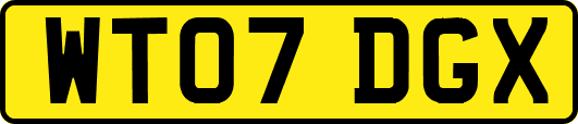 WT07DGX