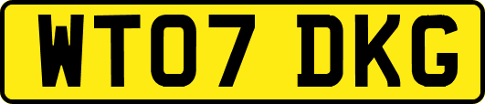 WT07DKG