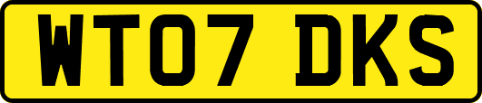 WT07DKS