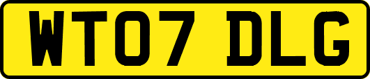WT07DLG
