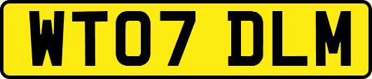WT07DLM