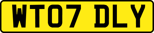 WT07DLY