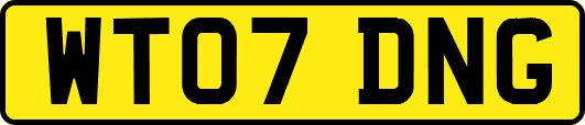WT07DNG