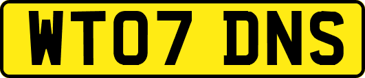 WT07DNS