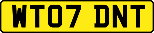 WT07DNT
