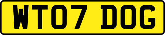 WT07DOG