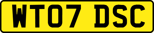 WT07DSC