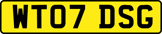 WT07DSG