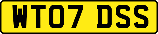 WT07DSS