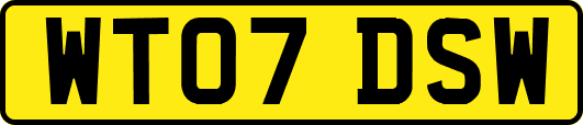 WT07DSW