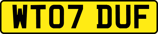 WT07DUF