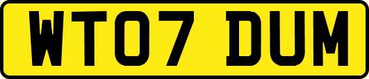 WT07DUM