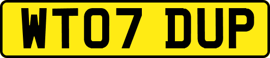WT07DUP