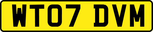 WT07DVM