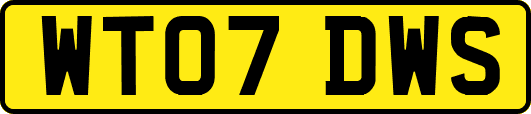WT07DWS