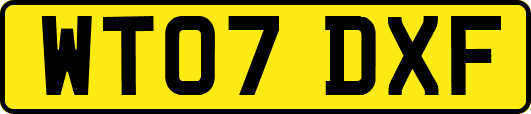 WT07DXF