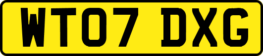 WT07DXG