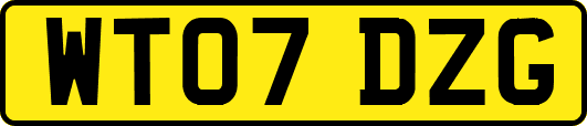 WT07DZG