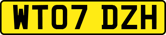 WT07DZH