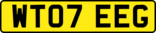 WT07EEG