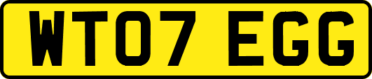 WT07EGG